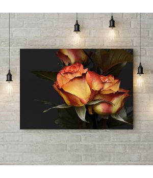 Картина на холсте Желто-красная роза 69801, 50х35 см