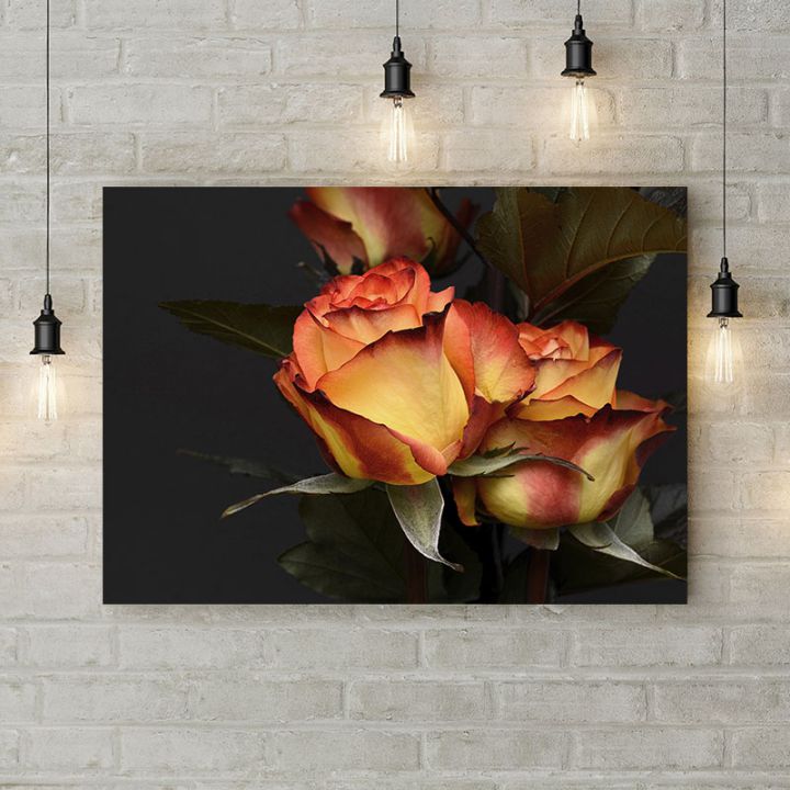 Картина на холсте Желто-красная роза 2, 50х35 см