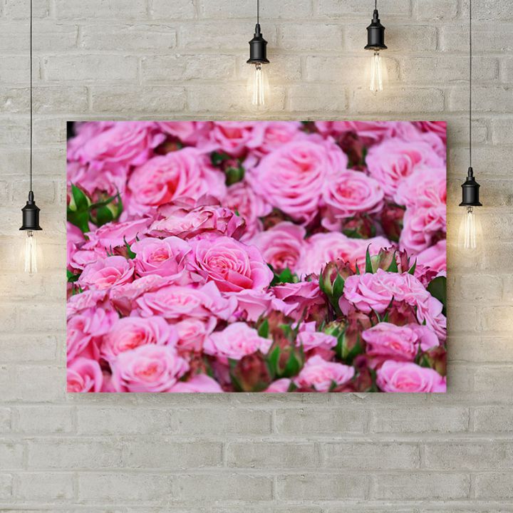 Картина на холсте Розовые розы в саду, 50х35 см