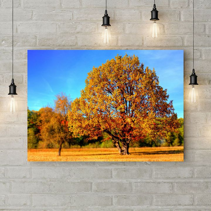 Картина на холсте Осеннее дерево, 50х35 см