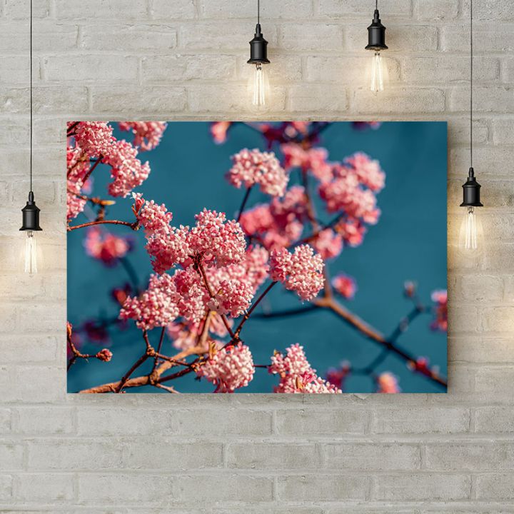Картина на холсте Розовые краски весны, 50х35 см