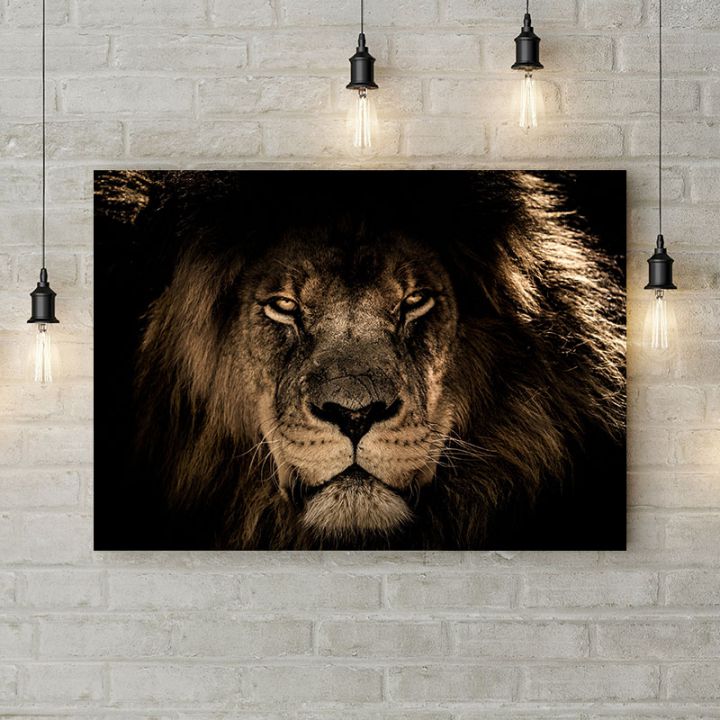 Картина на холсте Лев - царь зверей, 50х35 см