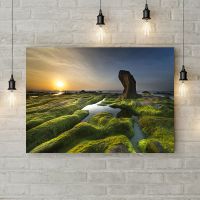 Картина на холсті 69392, 50х35 см