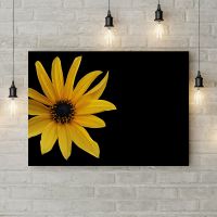 Картина на холсте Желтый цветок на черном фоне, 50х35 см
