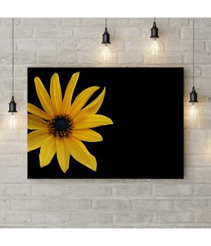 Картина на холсте Желтый цветок на черном фоне, 50х35 см