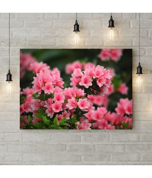 Картина на холсте Розовые веточки цветов, 50х35 см