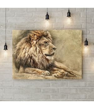 Картина на холсте Мудрый лев, 50х35 см