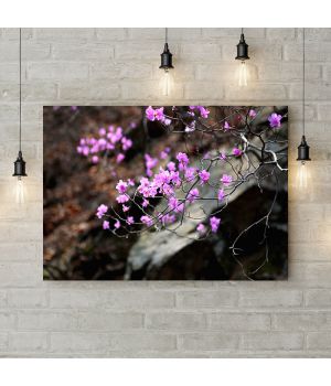 Картина на холсте Веточка чс розовыми цветками, 50х35 см
