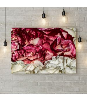 Картина на холсте Лепестки роз, 50х35 см