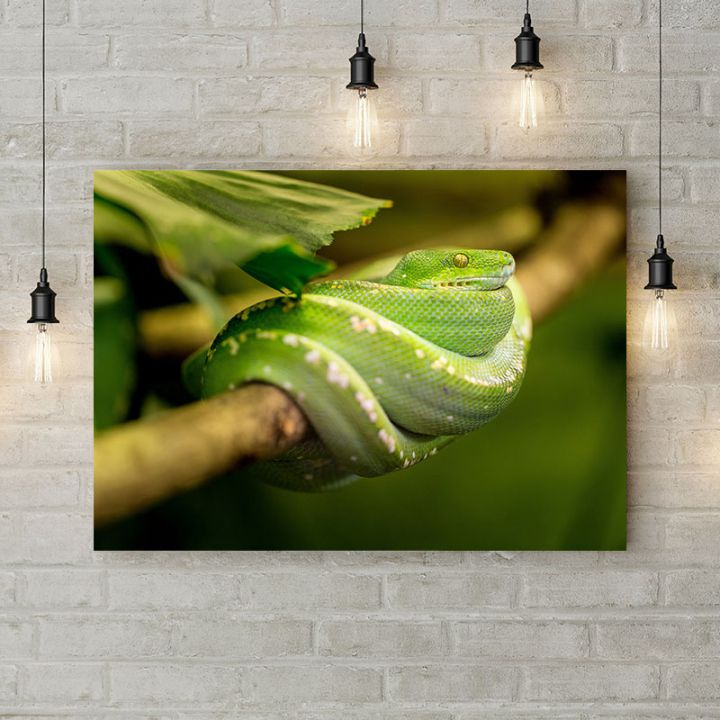 Картина на холсте Зеленая змея на ветке, 50х35 см