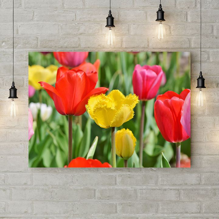 Картина на холсте Цветные тюльпаны 1, 50х35 см