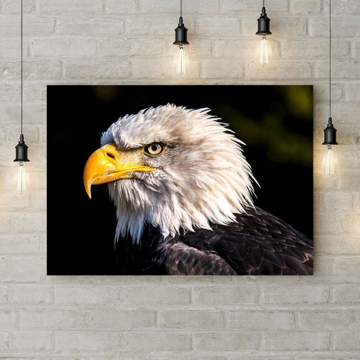 Картина на холсте Белоголовый орлан, 50х35 см