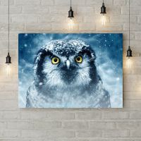 Картина на холсті 69333, 50х35 см