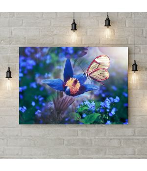Картина на холсте Бабочка на синем цветке, 50х35 см