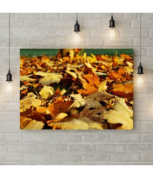 Картина на холсте Листья на земле, 50х35 см
