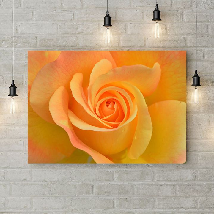 Картина на холсте Оранжево-желтая роза 2, 50х35 см