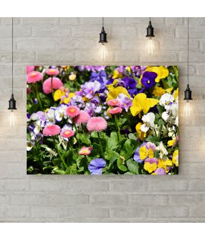Картина на холсте Садовые цветы, 50х35 см