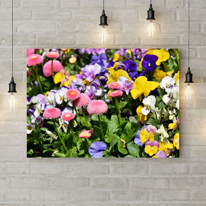 Картина на холсте Садовые цветы, 50х35 см