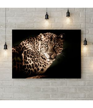 Картина на холсте Взгляд леопарда, 50х35 см