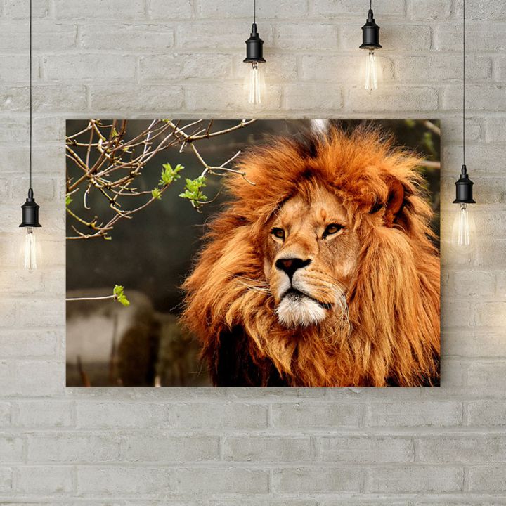 Картина на холсте Лев с пышной гривой, 50х35 см