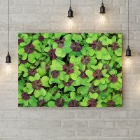 Картина на холсті 69633, 50х35 см