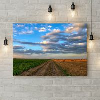 Картина на холсте Дорога через поле, 50х35 см
