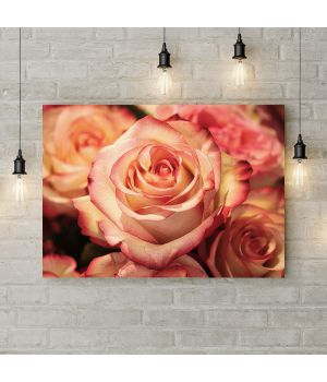 Картина на холсте Красивые розы, 50х35 см