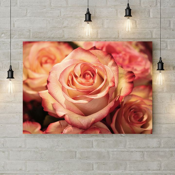 Картина на холсте Красивые розы, 50х35 см