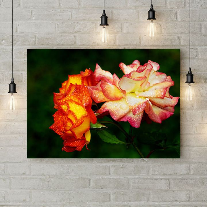 Картина на холсте Роса на лепестках роз, 50х35 см