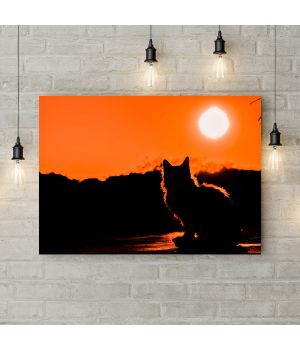 Картина на холсте Кот на закате, 50х35 см