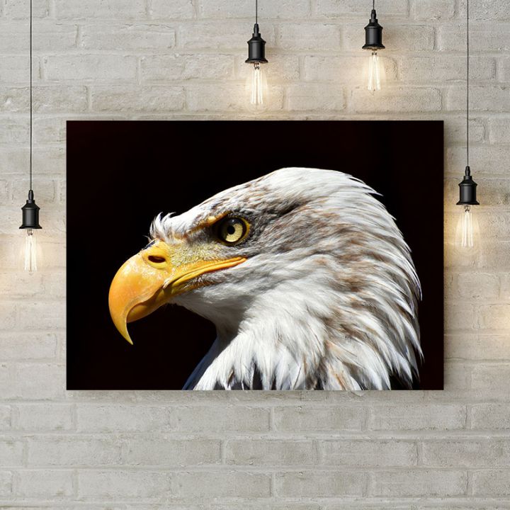 Картина на холсте Взгляд молодого орла, 50х35 см