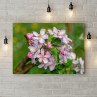 Картина на холсте Цветущие яблоки, 50х35 см