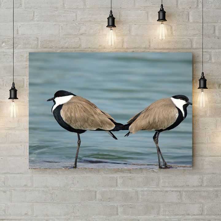 Картина на холсте Птицы на озере, 50х35 см