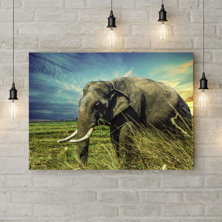 Картина на холсте Слон на прогулке, 50х35 см