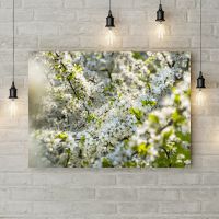 Картина на холсті 69524, 50х35 см