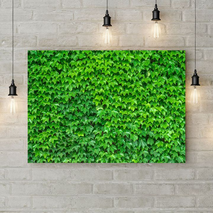 Картина на холсте Стена из зеленых листьев, 50х35 см
