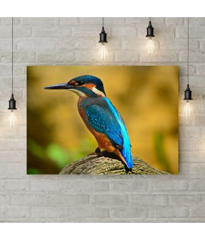 Картина на холсте The kingfisher, 50х35 см