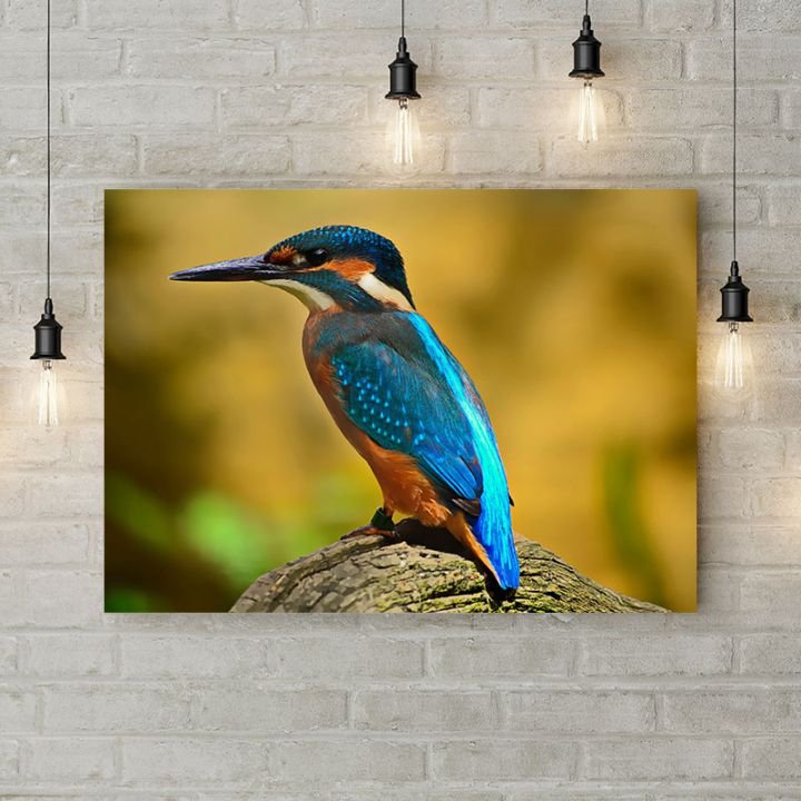 Картина на холсте The kingfisher, 50х35 см