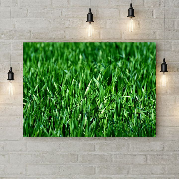 Картина на холсте Зеленая травка, 50х35 см