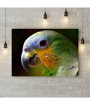 Картина на холсте Зеленый попугай, 50х35 см
