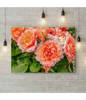Картина на холсте Садовые розы, 50х35 см