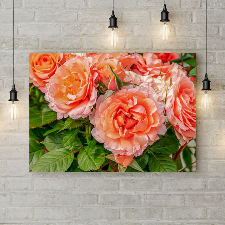 Картина на холсте Садовые розы, 50х35 см