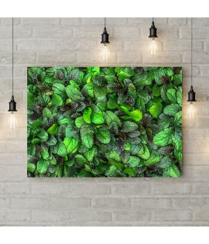 Картина на холсте Зеленые растения, 50х35 см