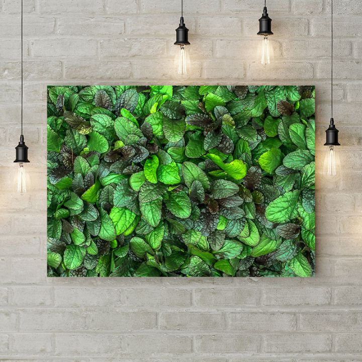 Картина на холсте Зеленые растения, 50х35 см