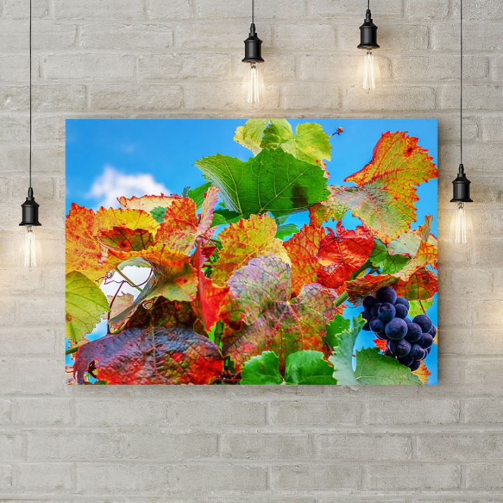 Картина на холсте Спелый виноград, 50х35 см