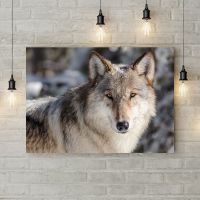 Картина на холсті 69964, 50х35 см