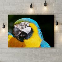 Картина на холсті 69295, 50х35 см