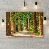 Картина на холсті 69305, 50х35 см