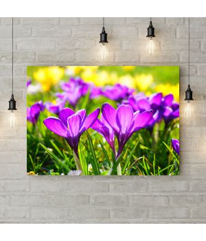 Картина на холсте Яркий фиолетовый шафран, 50х35 см