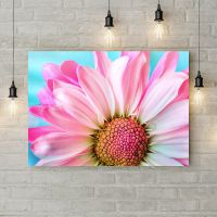 Картина на холсте Нежный бело-розовый цветок, 50х35 см